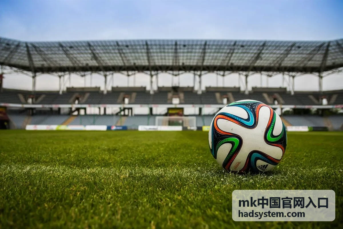 mk中国官网入口操作指引第四步，选择服务类型并查看对应材料清单