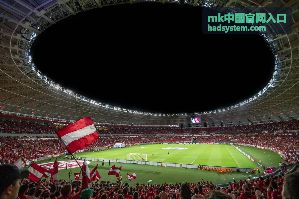 mk中国官网入口操作指引第六步，用回执编号查询进度与处理异常